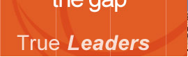 web design leader