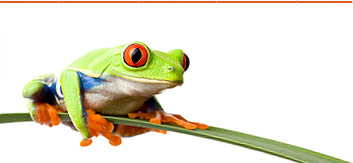 SEO Expert California