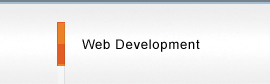 custom web development