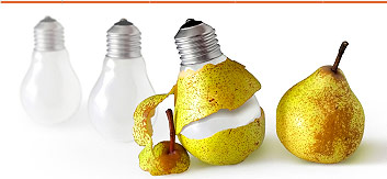 Web Design Portfolios 