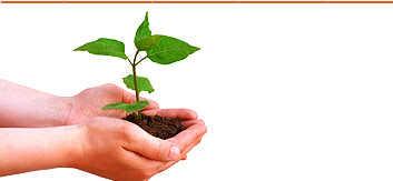 california web developers